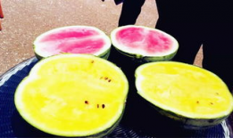 吃瓜爆料图片高清,娱乐圈最新热点事件大揭秘